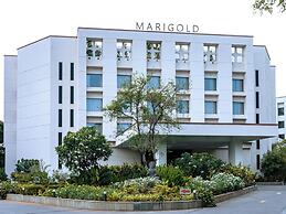 Marigold by Greenpark