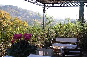 Agriturismo Monteverde
