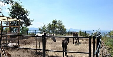 Tenuta Le Fornacelle