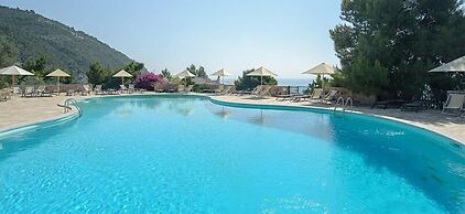 Baia Delle Zagare - Handwritten Collection