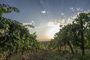 Tenuta Moriano