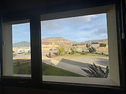 Konke Calafate