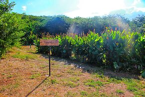 Hotel Waya Guajira By OxoHotel