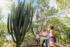 Hotel Waya Guajira By OxoHotel