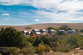Carmey Avdat Farm