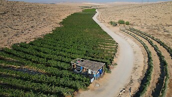 Carmey Avdat Farm