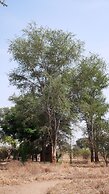 Munga Eco-Lodge