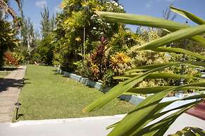 Palm Garden Hotel