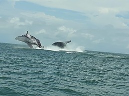 Hotel Bahia Azul