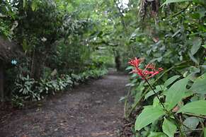 Arenal Oasis