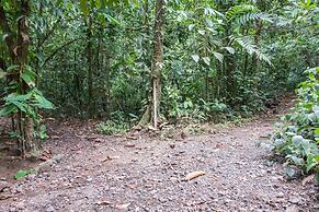 Arenal Oasis