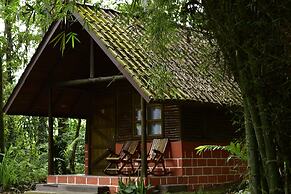 Arenal Oasis