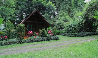 Arenal Oasis