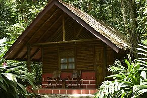 Arenal Oasis