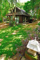 Viva Chiang Mai