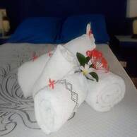 House Jardin Del Caribe