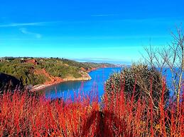 Babbacombe Palms