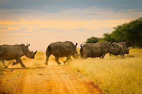 Otjiwa Safari Lodge