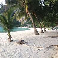 Phi Phi Dream