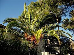Hotel Ceiba Maria Cala Dor