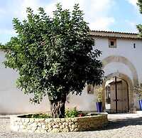 Agriturismo Chiusa di Carlo