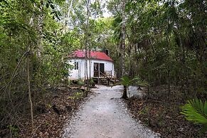 Jolie Jungle Eco Hotel