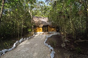 Jolie Jungle Eco Hotel