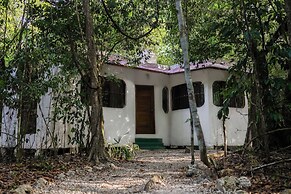 Jolie Jungle Eco Hotel