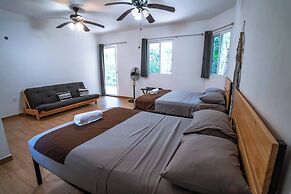 Jolie Jungle Eco Hotel