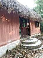 Jolie Jungle Eco Hotel