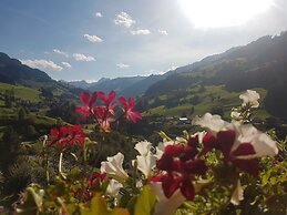 Hotel Dorfer