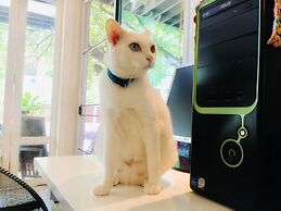 Banilah