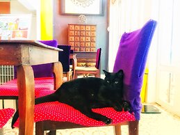 Banilah