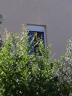ktima Tzamika