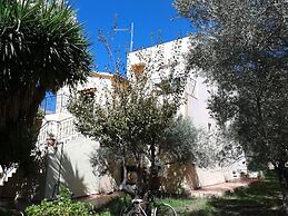 ktima Tzamika