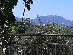 ktima Tzamika