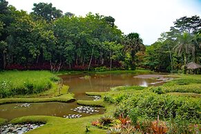 Macaw Lodge
