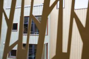 Rumi Hostel