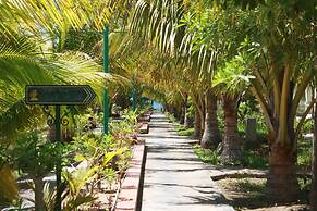 Con Ga Vang Resort