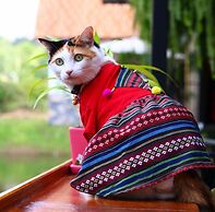 Baan Suan Him Doi