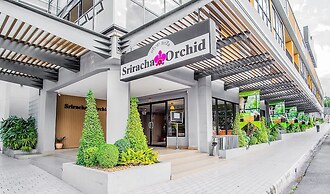 Sriracha Orchid