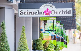 Sriracha Orchid