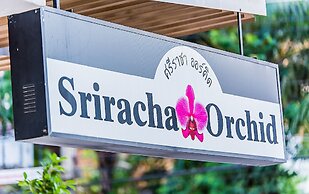 Sriracha Orchid