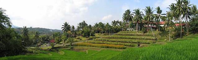 Hotel Puri Asri