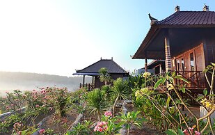 Poh Manis Lembongan