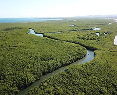 El Morro Eco Adventure Hotel