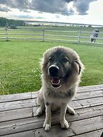 Rocking R Guest Ranch