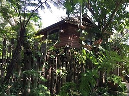 Fern Paradise