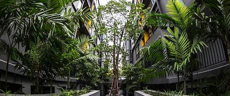 iSanook Bangkok