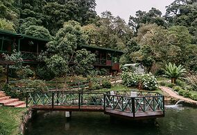Trogon Lodge